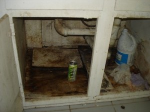 Kitchen sink mold